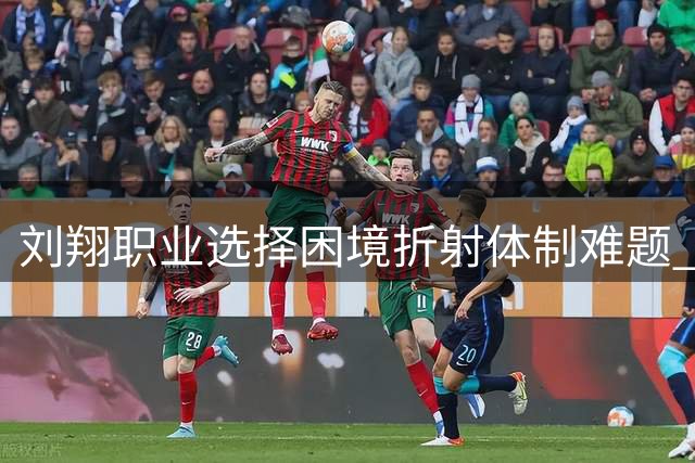 刘翔职业选择困境折射体制难题 对比姚明王治郅不同路径