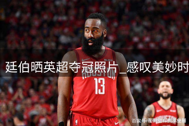 廷伯晒英超夺冠照片 感叹美妙时刻与枪手共享