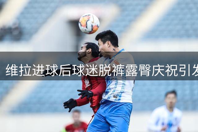 维拉进球后球迷脱裤露臀庆祝引发热议