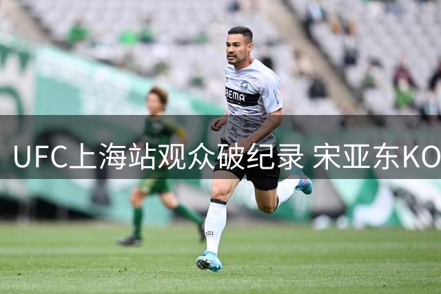 UFC上海站观众破纪录 宋亚东KO强敌取胜